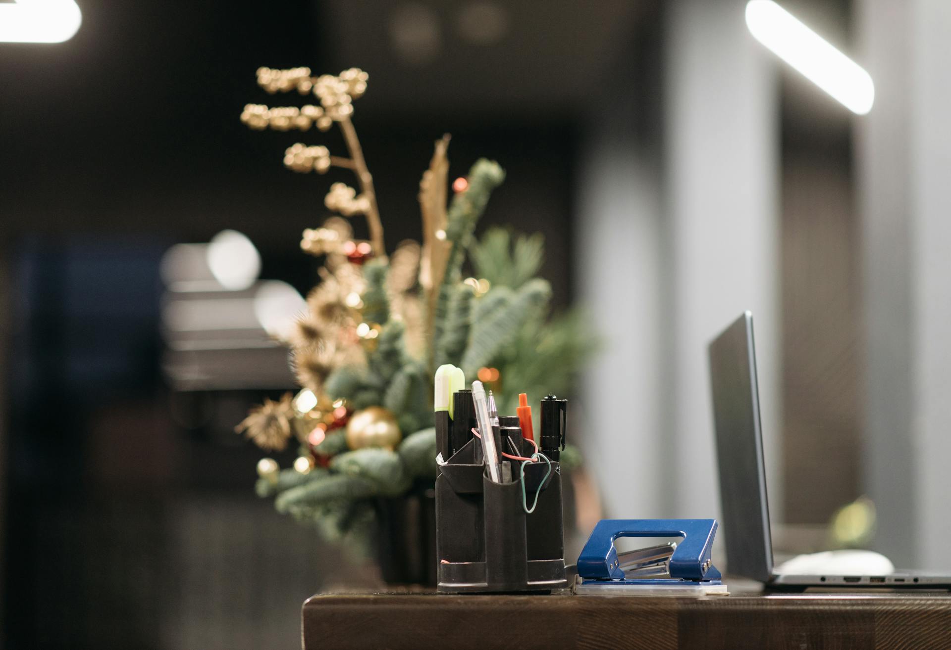 What Business Owners Need to Know About Public Holidays in NZ